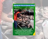 Ação da secretaria de assistência social: Entrega de peixe